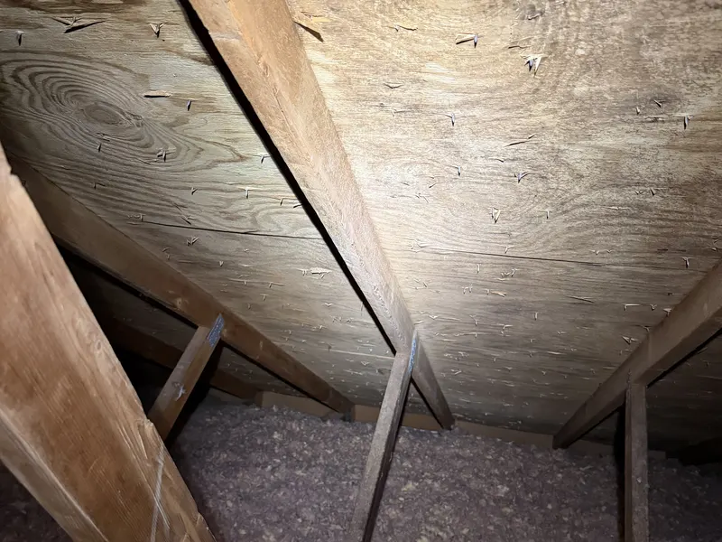 Attic sheathing after professional remediation